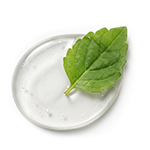 botanicko ulje lista paculija