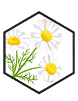 Kamilica ► Herbalia