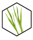 Limunova trava ► Herbalia