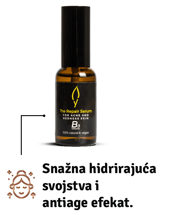 The repair sastav