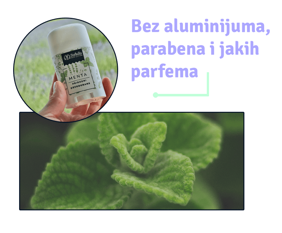 kako deluje menta ► Herbalia kako deluje menta