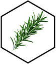 ruzmarin