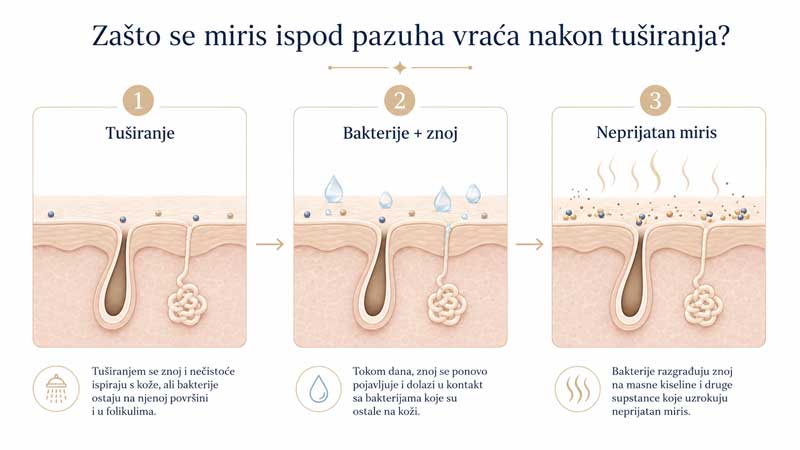 uzrok neugodnog mirisa ispod pazuha ► Herbalia Iuzrok neugodnog mirisa ispod pazuha