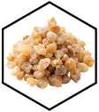 tamjan ► Herbalia