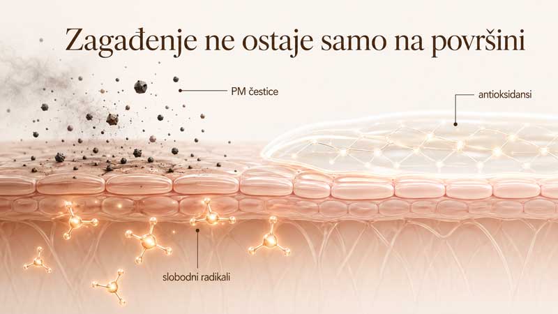 čestice zagađenja i koža ► Herbalia čestice zagađenja i koža